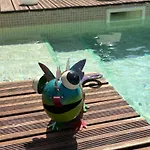 Vakantiehuis Relaxation Aquatiquegarantie100% Saint-Estève
